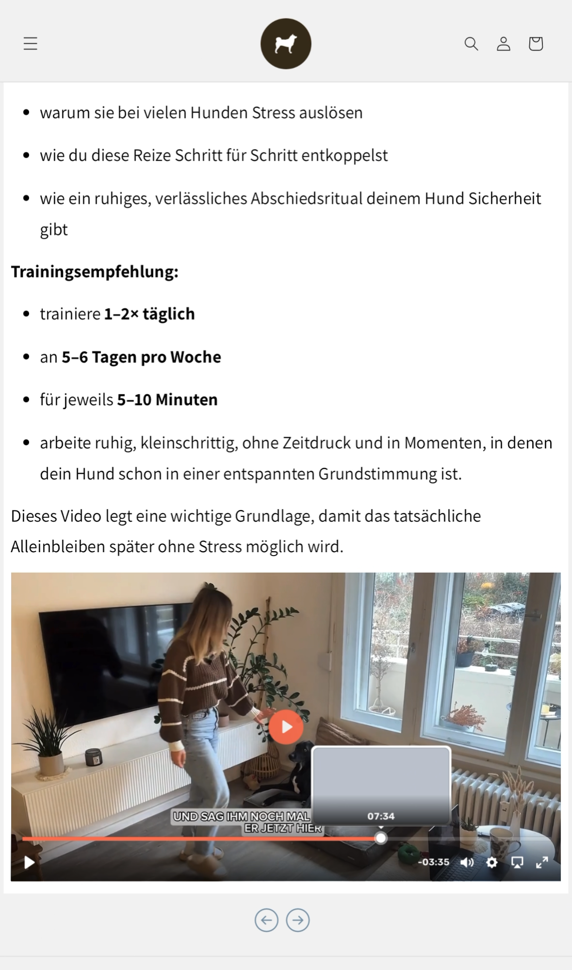 Onlinekurs: Entspanntes Alleinbleiben