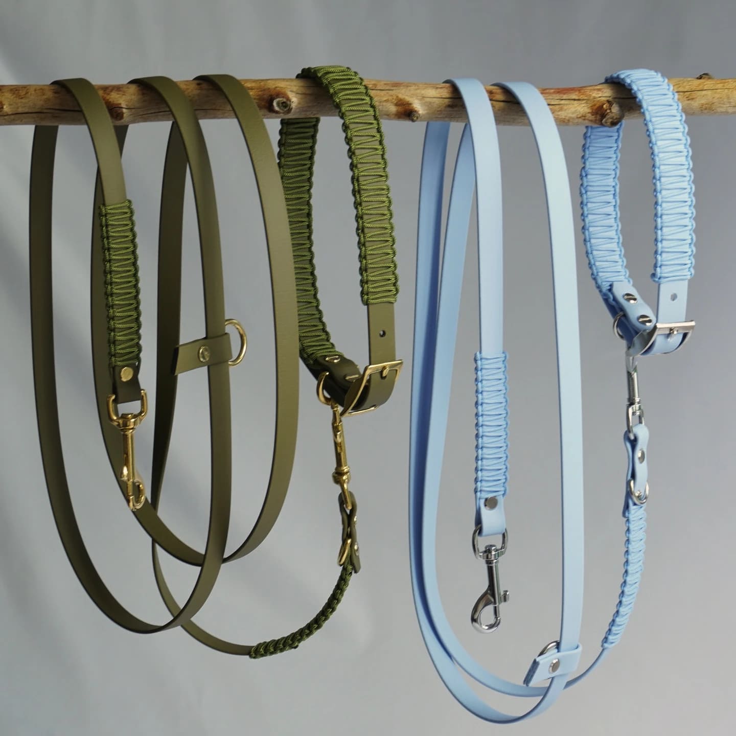 Halsband und Leine