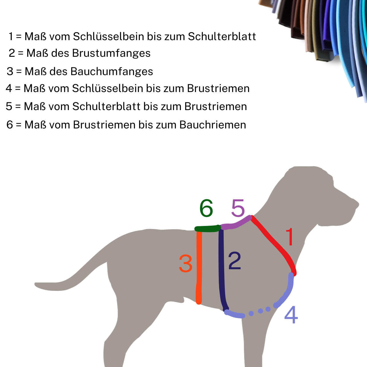 Sicherheitsgeschirr konfigurieren