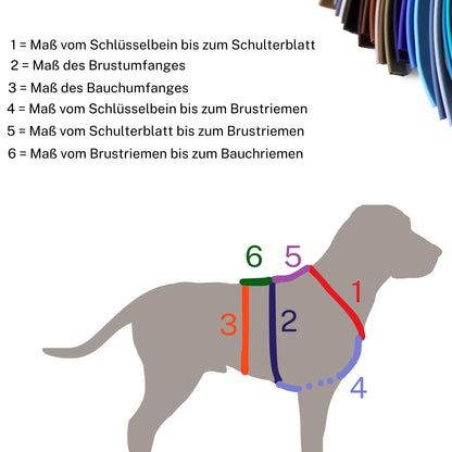 Sicherheitsgeschirr konfigurieren