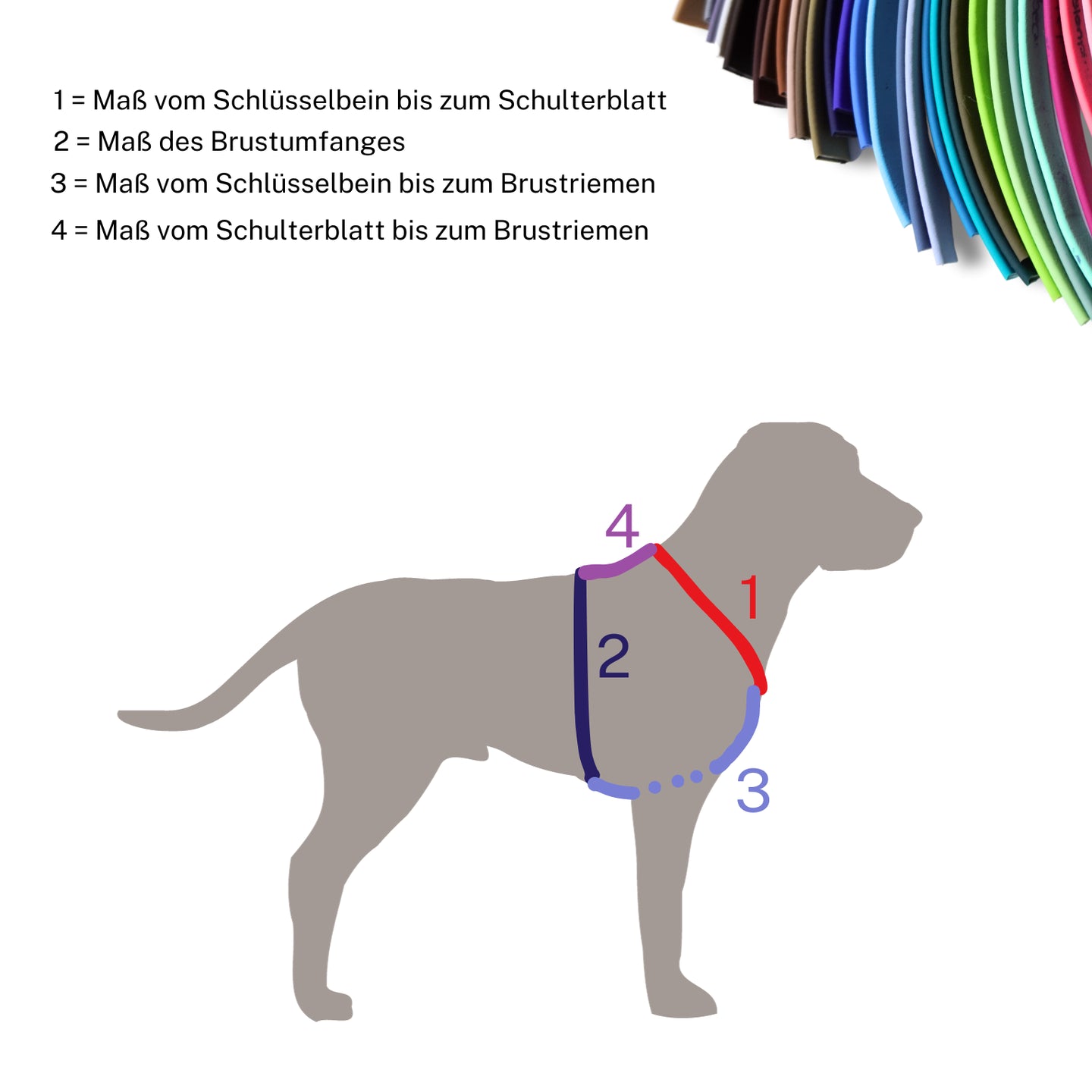 Biothane Geschirr konfigurieren