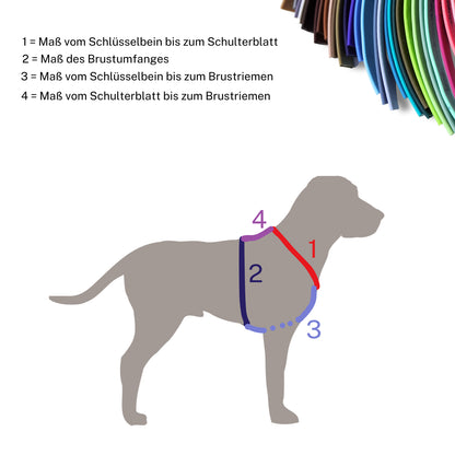 Biothane Geschirr konfigurieren