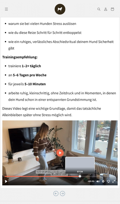 Onlinekurs: Entspanntes Alleinbleiben