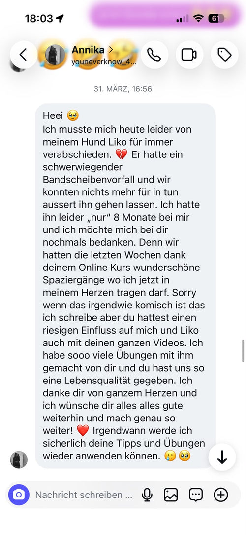 Community Bild