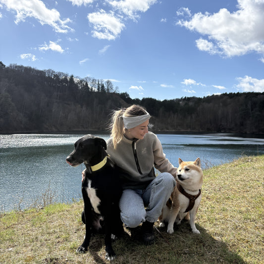 Hundebegegnungen entspannt meistern